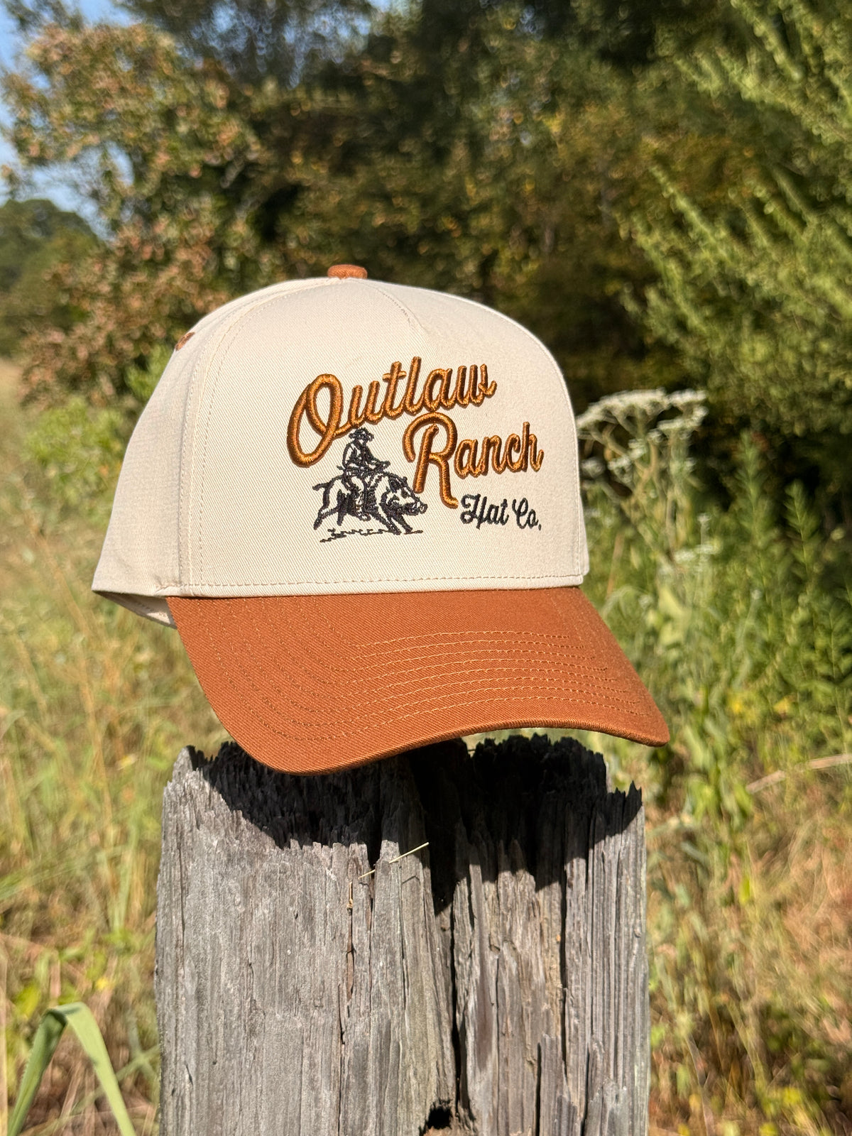 Pre-Order: The Outrider